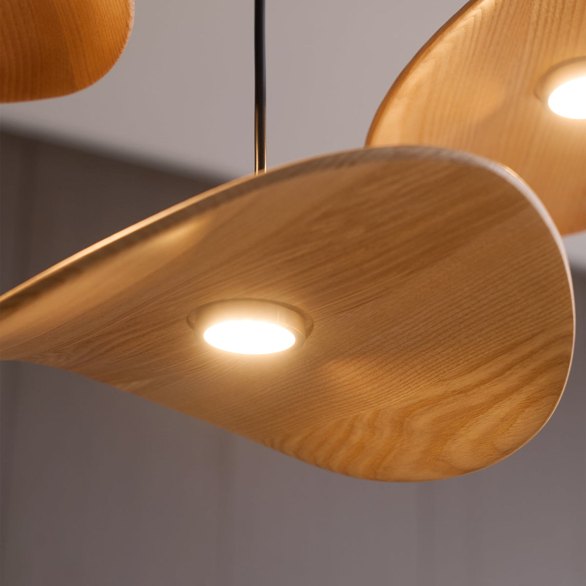 Empty Leaf Wood LED Cluster Chandelier - product view 62