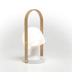 Faren Handle Rechargeable Lantern Lamp — product, finish and specification view 12