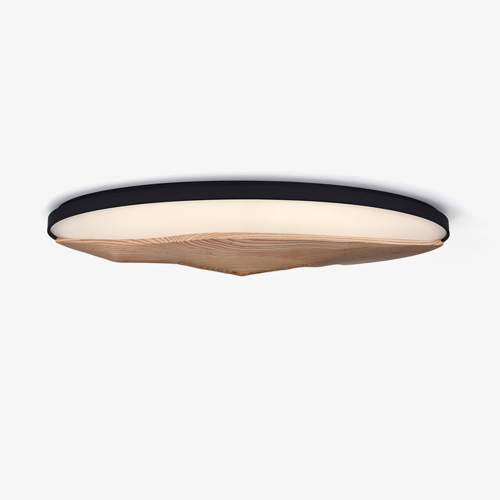 Half-Mountain Ceiling Lamp — product view