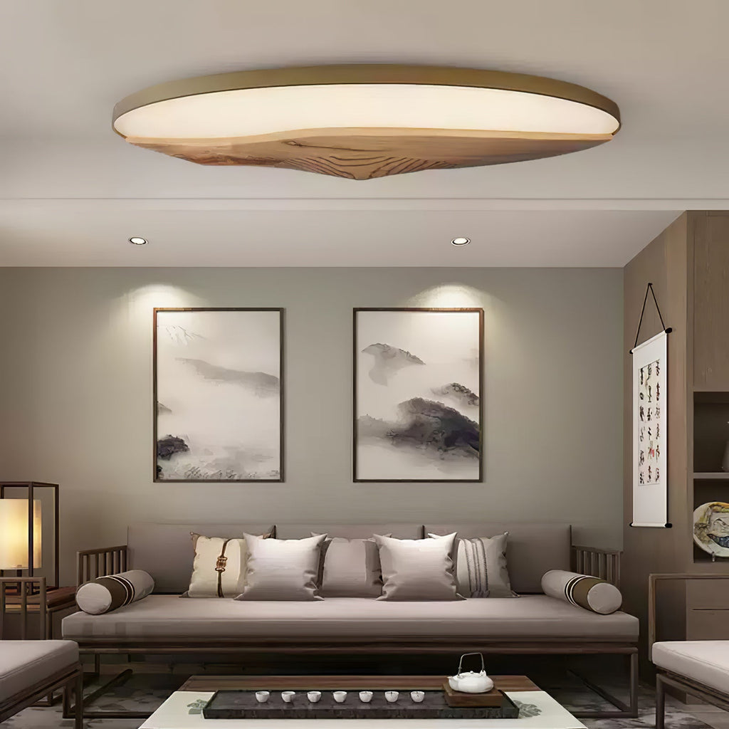 Half-Mountain Ceiling Lamp — product and interior detail 2