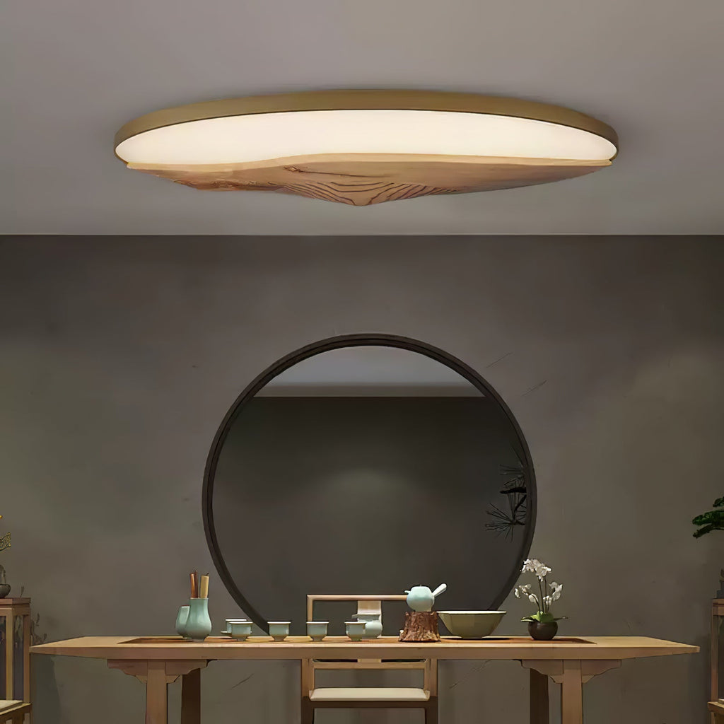 Half-Mountain Ceiling Lamp — product and interior detail 4