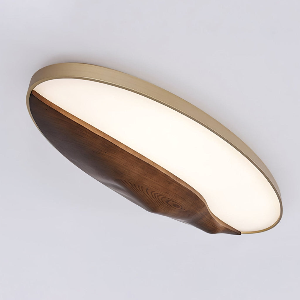 Half-Mountain Ceiling Lamp — product and interior detail 5