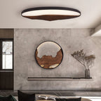 Half-Mountain Ceiling Lamp — product and interior detail 7