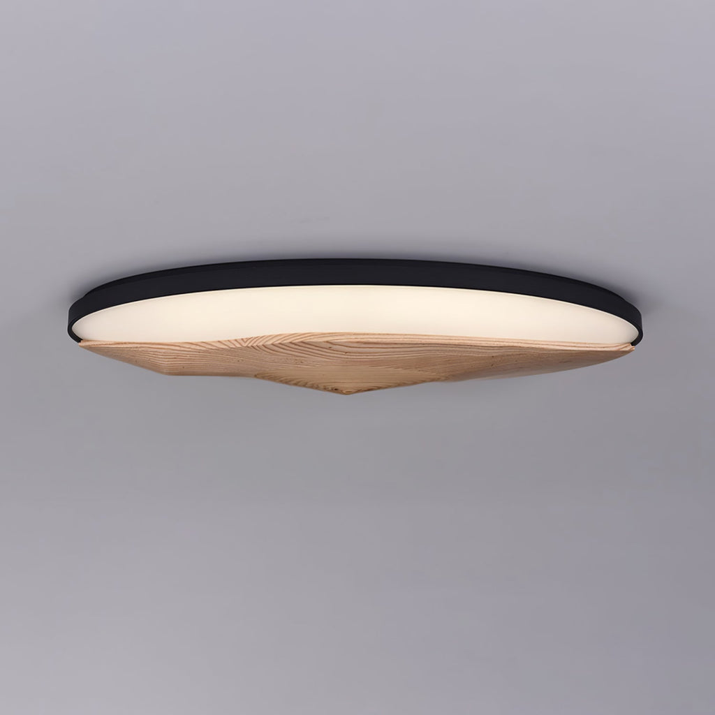 Half-Mountain Ceiling Lamp — product and interior detail 9