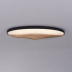 Half-Mountain Ceiling Lamp — product and interior detail 9