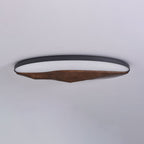 Half-Mountain Ceiling Lamp — product and interior detail 20