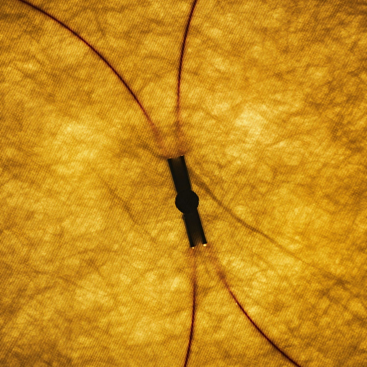 Kite Sculptural Paper Plug-In Wall Lamp — design detail 24