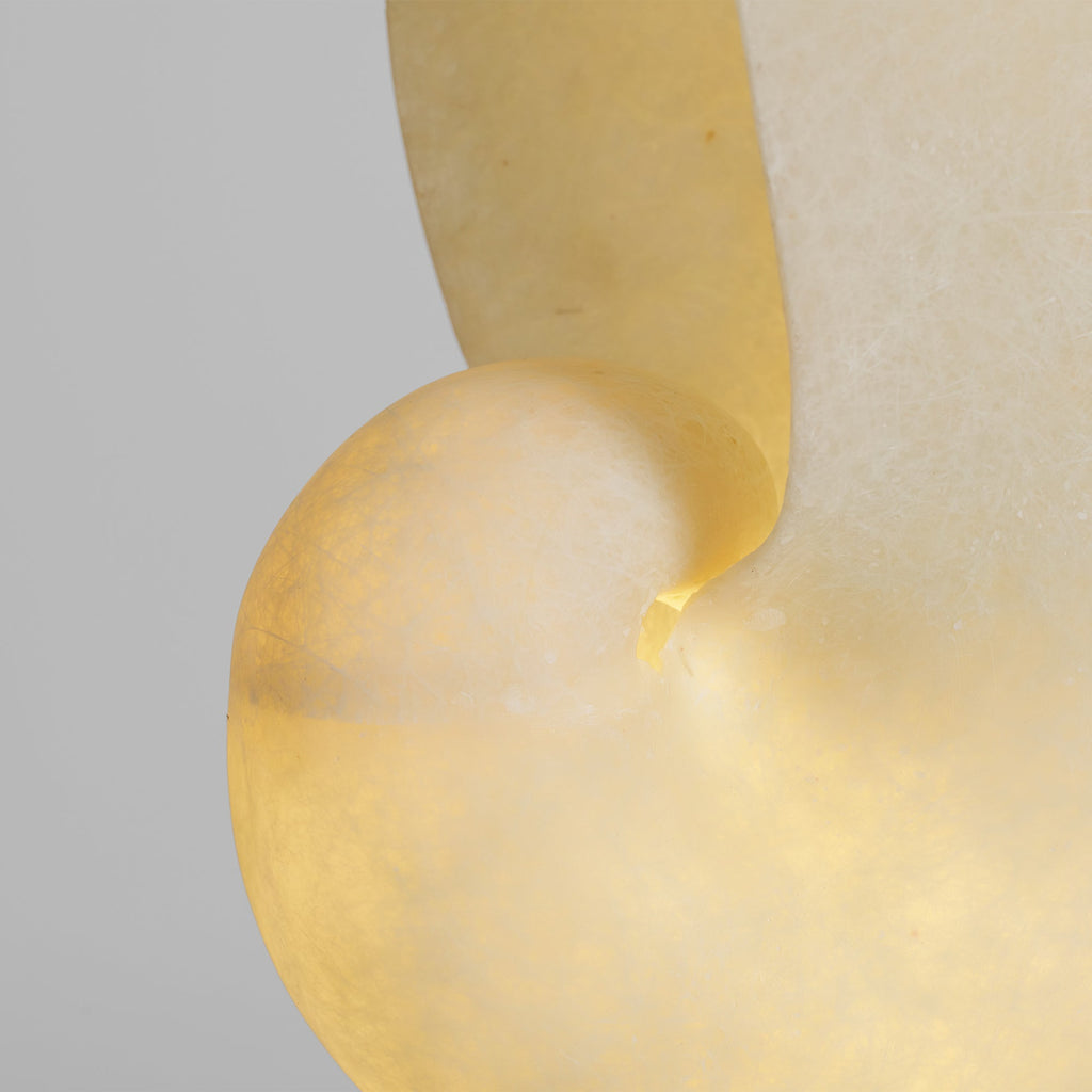 Lumora Alabaster Shell LED Table Lamp – table lamp view 16