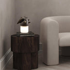 Luolongzi Table Lamp — product and interior detail 9