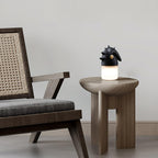 Luolongzi Table Lamp — product and interior detail 10
