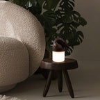 Luolongzi Table Lamp — product and interior detail 15