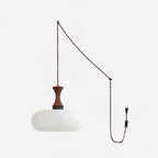 Mayon Glass Plug-In Pendant Light — interior or design detail 12