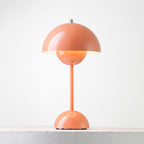 Rechargeable LED Small Desk Lamp — Shrimp Powder