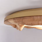 Sky Lake Round Wood LED Ceiling Light - product view 12