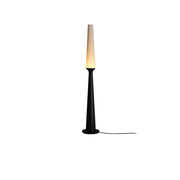 Black (Warm Light)