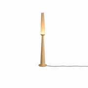 Wood Color (Warm Light)