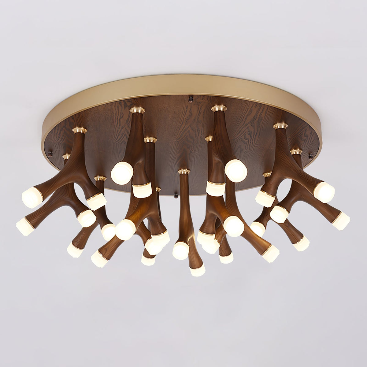 Tentacle Ceiling Lamp — product and interior detail 5