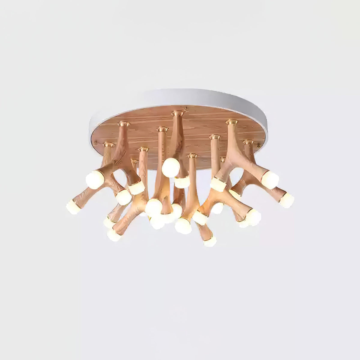 Tentacle Ceiling Lamp — product and interior detail 10