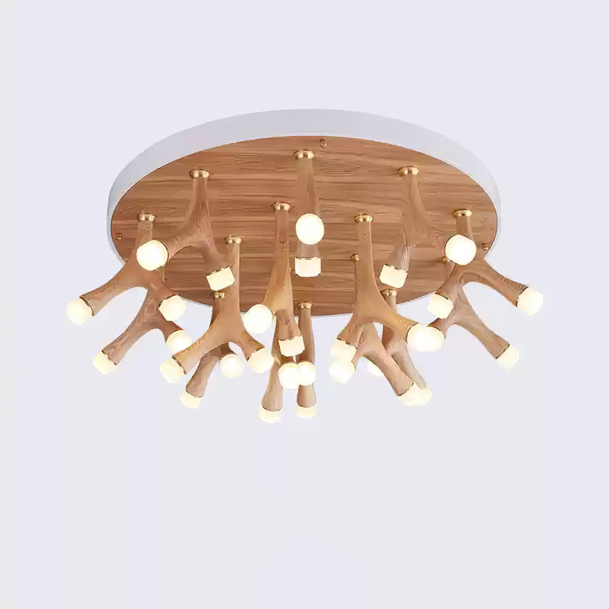 Tentacle Ceiling Lamp — product and interior detail 14