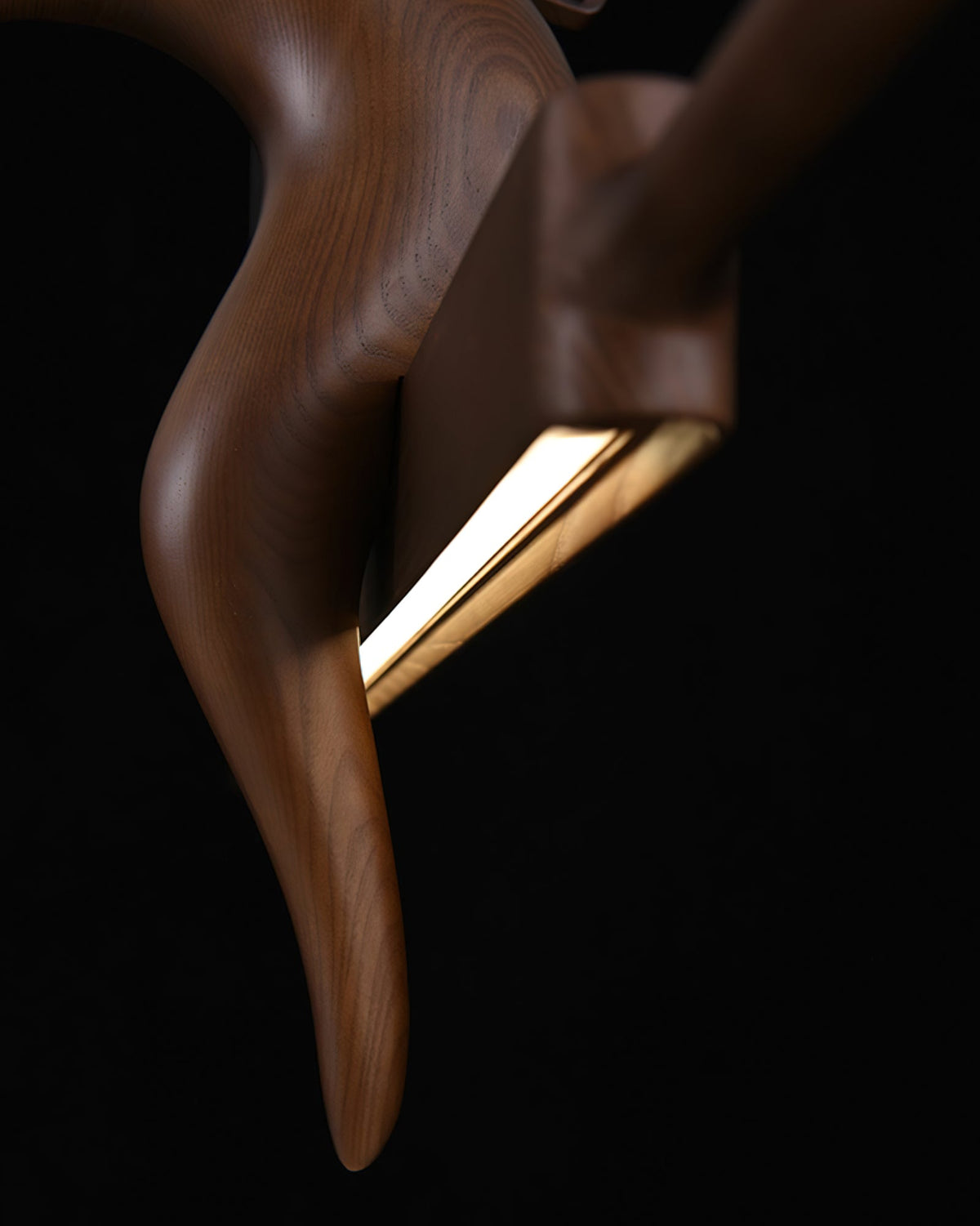 Wait Chandelier — product and interior detail 31